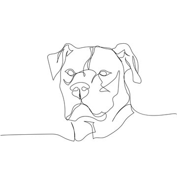 Dogo Argentino, hunting dog, service dog one line art. Continuous line drawing of friend, dog, doggy, friendship, care, pet, animal, family, canine.