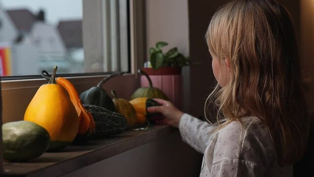 preschool girl looks at pumpkins placed on the windowsill.