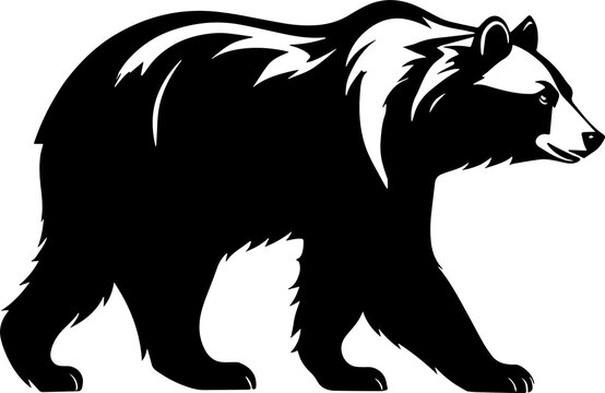 Illustration of bear isolated on white background