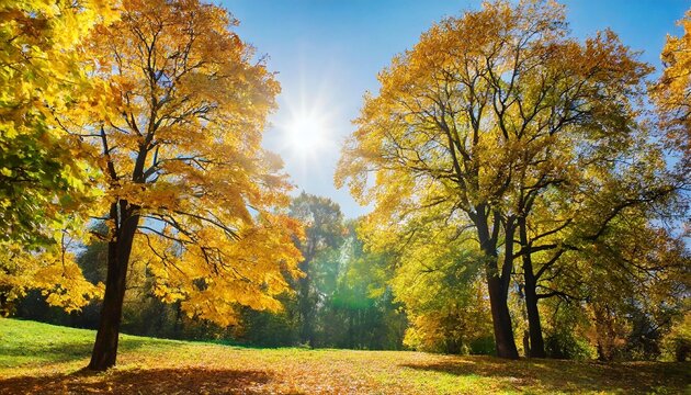 beautiful autumn landscape with yellow trees and sun colorful foliage in the park falling leaves natural background autumn season concept