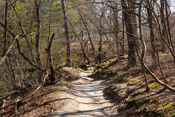 Bluff Trail.