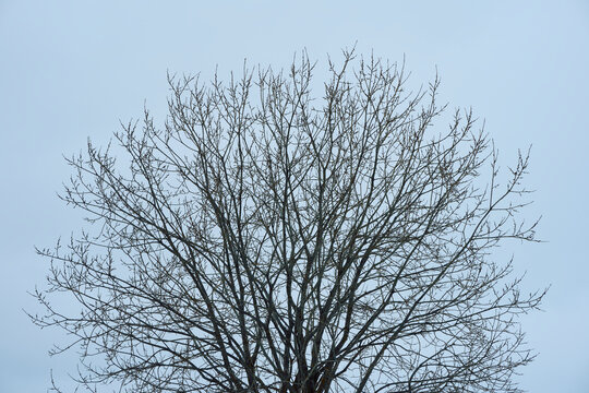 Images from a roundtrip in the cultural landscape of Toten, Norway, starting from Lund in Kolbu by Mollerhagen and back again, a cloudy winter day of March 2024.