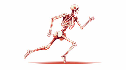Anatomically correct skeleton running flat vector i
