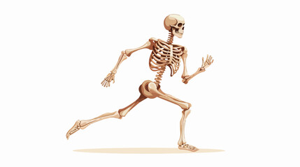 Anatomically correct skeleton running flat vector i