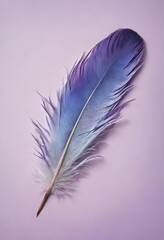 Single purple pen feather