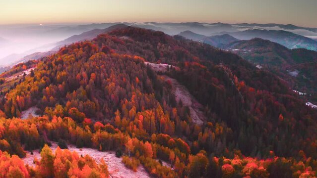 highland, kosiv, rocks, sokilsky, ukraine, drone, bird's eye view, stones, ecosystem, carpathians, top, wildlife, trees, landmark, tower, journey, old, karpaty, ancient, western ukraine, contrast, uni