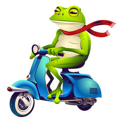 Frog on a blue scooter. Illustration. funny cute cartoon.