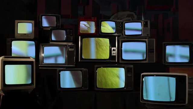 A Yellow Canary Bird and Vintage Televisions. 4K Resolution.