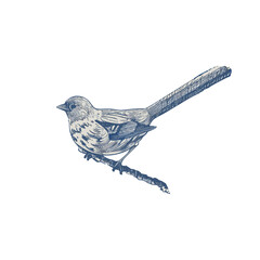 Cute Bird Clipart. Nature Inspired Animal Art.