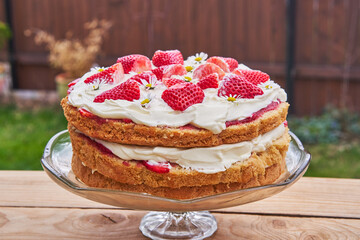 Light, sweet and tasty strawberry cake consist from sponge pastry, mascarpone cream and sweet red riped srawberries and decorated by daisy flowers. Ideal cake for spring birthday party in the garden. - Powered by Adobe
