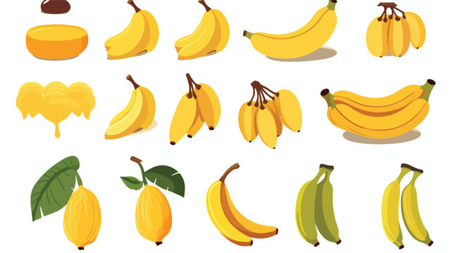 Bananas set. Exotic tropical fresh fruit whole fruit