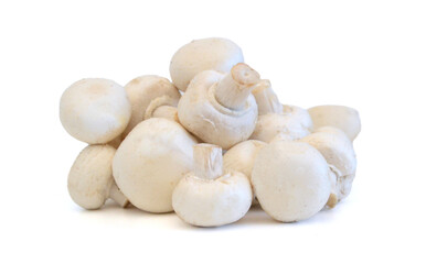 A sections of mushroom on white - 763573186
