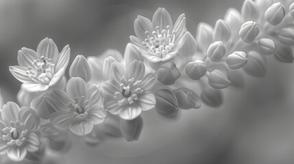  a black and white photo of a bunch of flowers that are in the middle of a long line of flowers.