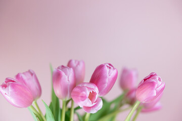 Pink Spring Flowers Tulips, Light Baby Girl Pink Background Beautiful Sweet Cheerful Wallpaper, May Mothers Day, Grow and Bloom, Joyful Seasonal	