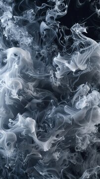 Ethereal white smoke swirls on black background © Denys