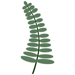 Tropical Leaf Vector