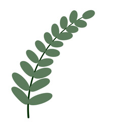 Tropical Leaf Vector