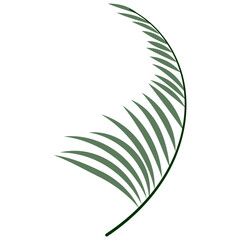 Tropical Leaf Vector