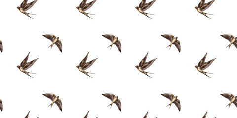 Swallow watercolor clipart illustration seamless pattern birds songbird feathers fauna nature animals ecological