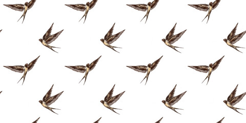 Swallow watercolor clipart illustration seamless pattern birds songbird feathers fauna nature animals ecological
