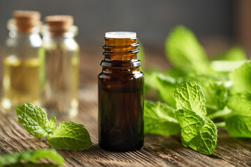 A glass bottle of essential oil with fresh peppermint twig