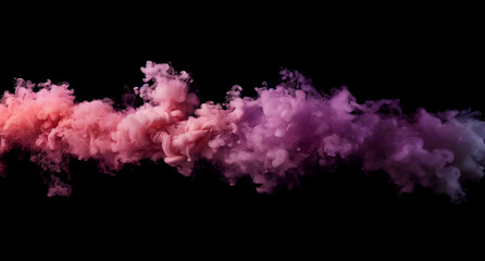 pink rose in the dark