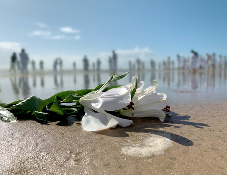 Oferenda Iemanj&aacute;