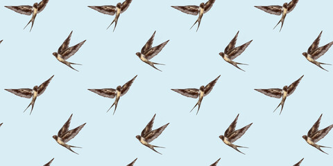 Swallow watercolor clipart illustration seamless pattern birds songbird feathers fauna nature animals ecological