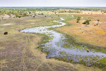 Aerial view over the Okavango Delta, Botswana