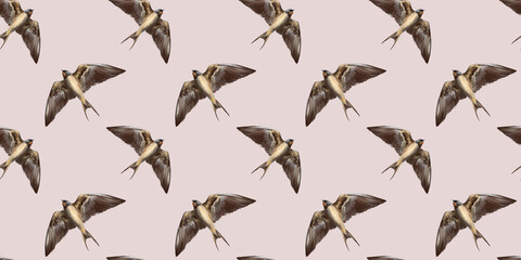 Swallow watercolor clipart illustration seamless pattern birds songbird feathers fauna nature animals ecological