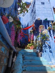 Balade culturelle et touristique de la ville bleue de Jodhpur en Inde, maison et mur en pierre historique bleue, escalier et petit ruelle, charme antique et ancien, environnement pauvre, architecture 