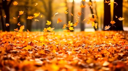 Fototapeten A beautiful autumn scene with leaves falling from trees. The leaves are scattered all over the ground, creating a colorful and serene atmosphere © Людмила Мазур