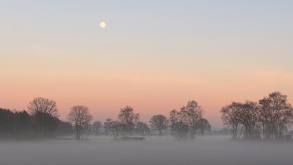 Sunset landscape