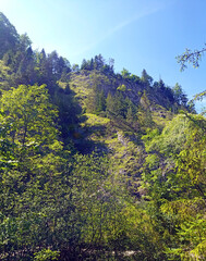 Szlak turystyczny prowadzący przez malowniczy Wąwóz Homole. Jeden z najpiękniejszych szlaków Pienin - obrazy, fototapety, plakaty