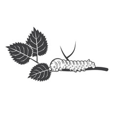 illustration of silkworm, silkworm drawing, vector art.