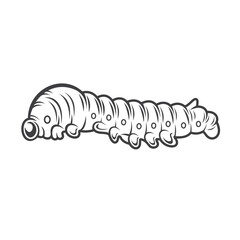illustration of silkworm, silkworm drawing, vector art.