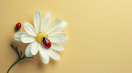 beige background with flower stems and white flowers. Featuring a ladybug exploring the delicate petals, there's plenty of space for this simple design message. Suitable for various purposes