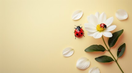 Fototapeta na wymiar beige background with flower stems and white flowers. Featuring a ladybug exploring the delicate petals, there's plenty of space for this simple design message. Suitable for various purposes