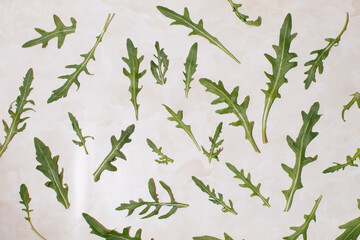 Pattern of arugula leaves on a marble background. Creativ food concept. Flat lay.