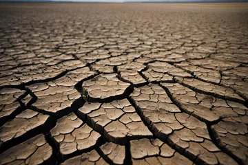 Rolgordijnen dry cracked ground © rayan