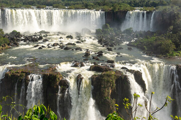 waterfall in the forest