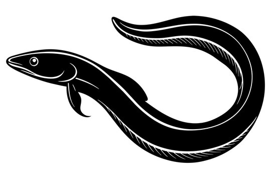 eel silhouette vector illustration