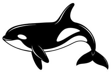 killer whale silhouette vector illustration