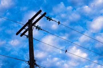 poste de electricidad con pajaros en cielo azul con nubes