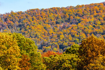 Autumn scenery along The Pig Trail Scenic Byway.