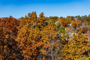 Fototapeta premium Autumn colors in Eureka Springs.