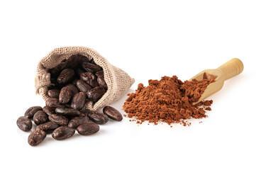 Cocoa bean and cocoa powder on white background. - 763642790
