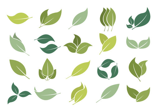 Vector Green Leaves Collection. Leaf elements for design.