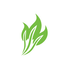 vector design of three green leaves