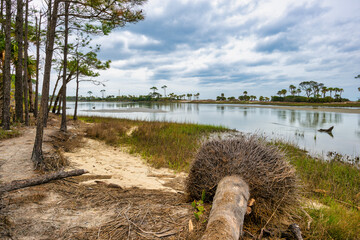 Naklejka premium Lagoon Landscape close to ocean